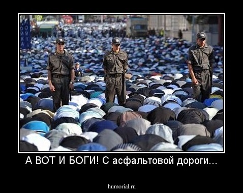 А ВОТ И БОГИ! С асфальтовой дороги...
