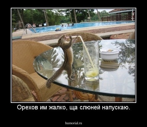 Орехов им жалко, ща слюней напускаю.