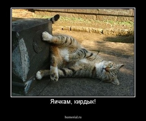 Яичкам, кирдык!