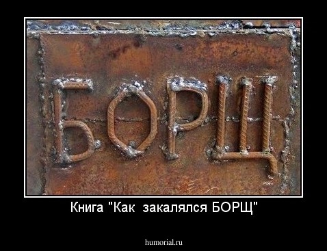 Книга "Как  закалялся БОРЩ"