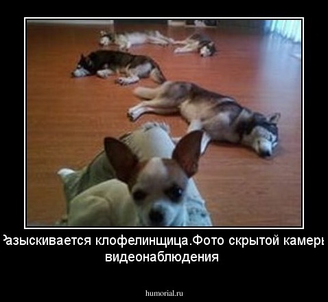 Разыскивается клофелинщица.Фото скрытой  камеры видеонаблюдения