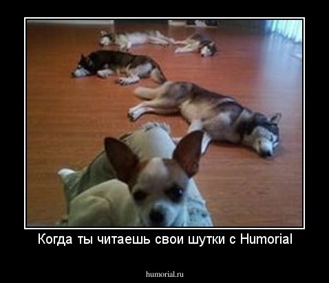 Когда ты читаешь свои шутки с Humorial