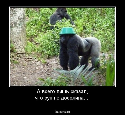 А всего лишь сказал, что суп не досолила...