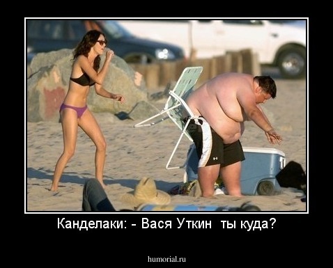 Канделаки: - Вася Уткин  ты куда?