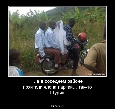 ...а в соседнем районе похитили члена партии... так-то Шурик