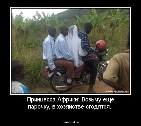 Принцесса Африки: Возьму еще парочку, в хозяйстве сгодятся.