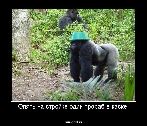 Опять на стройке один прораб в каске!