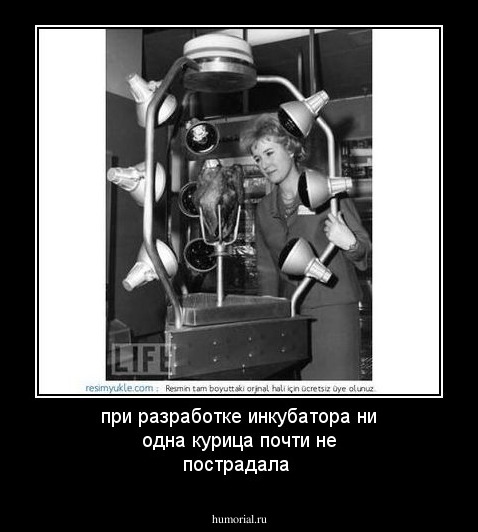 при  разработке инкубатора ни одна  курица  почти не пострадала