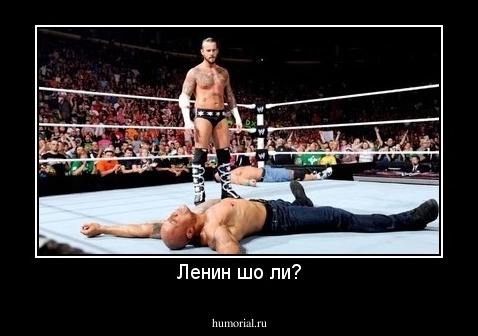 Ленин шо ли?