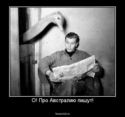 О! Про Австралию пишут!