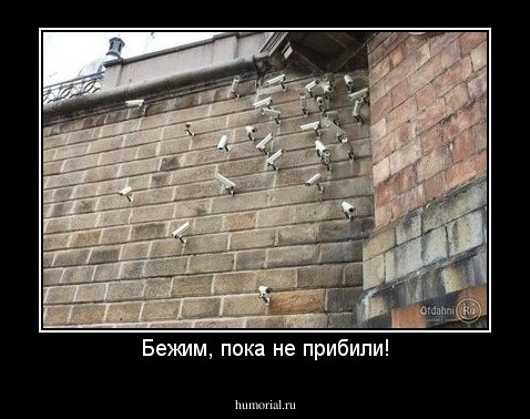 Бежим, пока не прибили!