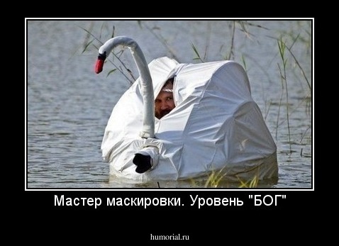 Мастер маскировки. Уровень "БОГ"