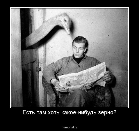 Есть там хоть какое-нибудь зерно?
