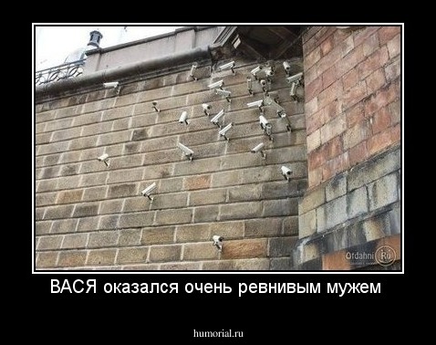 ВАСЯ оказался очень ревнивым мужем 