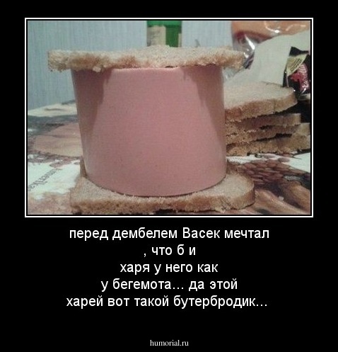 перед дембелем Васек мечтал , что б и харя у него
как у бегемота... да этой  харей вот такой  бутербродик...