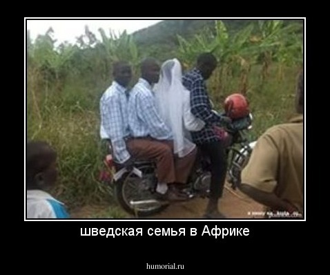 шведская семья в Африке