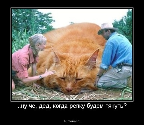 ..ну че, дед, когда репку будем тянуть?