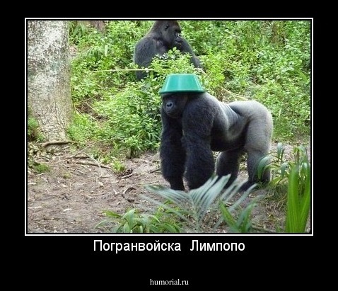 Погранвойска  Лимпопо