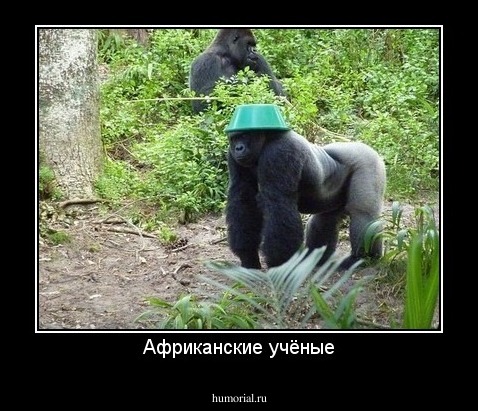 Африканские учёные
