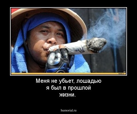 Меня не убьет, лошадью я был в прошлой жизни.