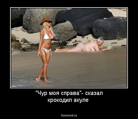 "Чур  моя  справа"- сказал крокодил  акуле