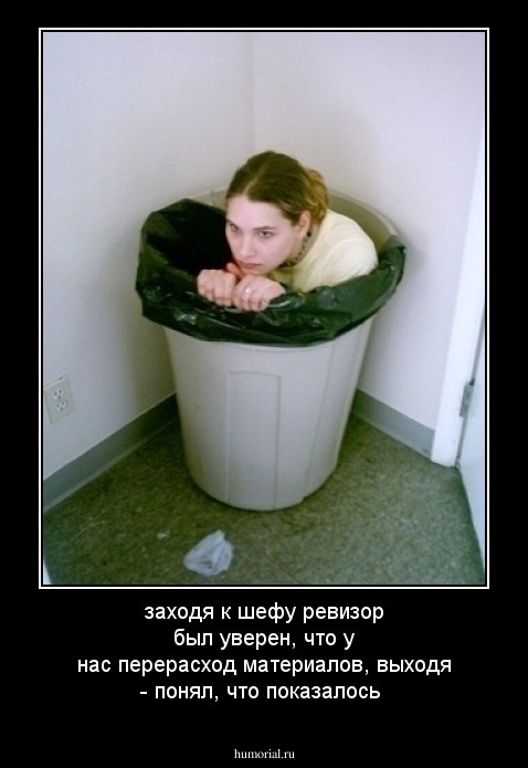 заходя к шефу ревизор был уверен, что у нас перерасход материалов, выходя - понял, что показалось 