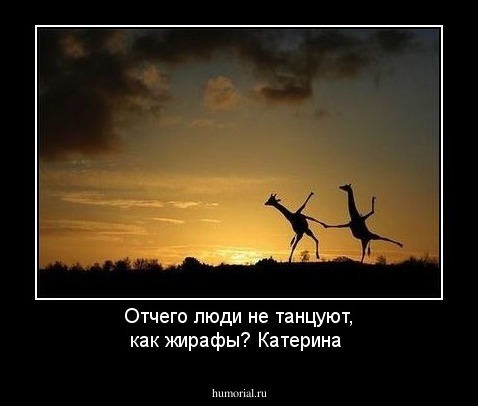 Отчего люди не танцуют, как жирафы? Катерина