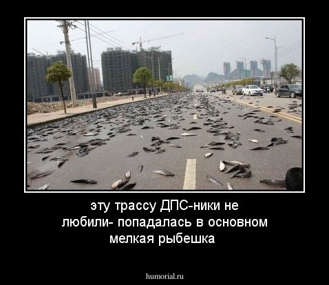 эту трассу ДПС-ники не любили- попадалась в основном мелкая рыбешка