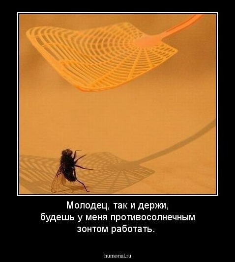 Молодец, так и держи, будешь у меня противосолнечным зонтом  работать.