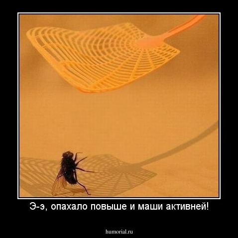Э-э, опахало повыше и маши активней!