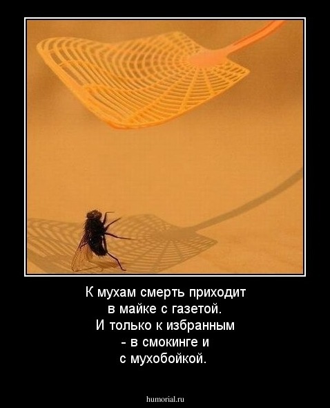 К мухам смерть приходит в майке с газетой. И только к избранным -  в смокинге и с мухобойкой.