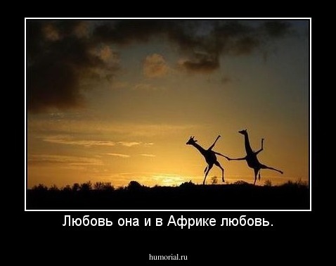 Любовь она и в Африке любовь.