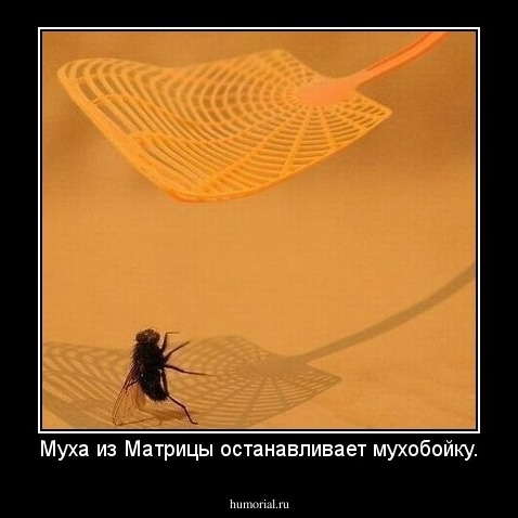 Муха из Матрицы останавливает мухобойку.