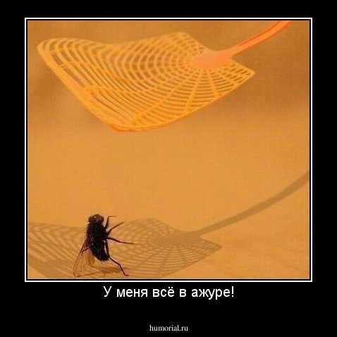 У меня всё в ажуре!