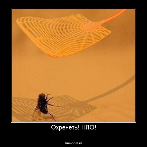 Охренеть! НЛО!