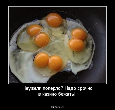 Неужели поперло? Надо срочно в казино бежать!
