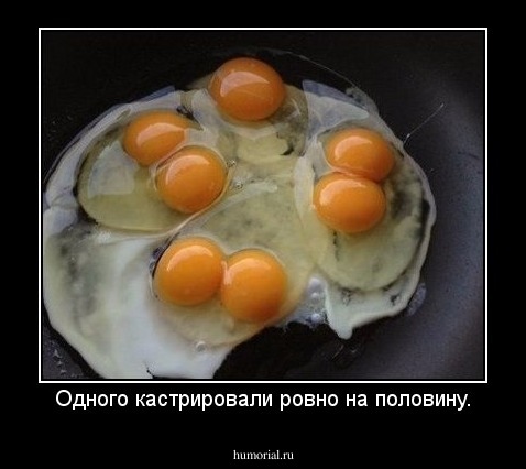Одного кастрировали ровно на половину.