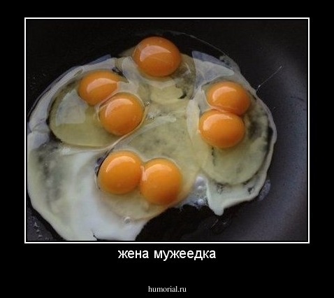 жена мужеедка