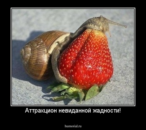 Аттракцион невиданной жадности!