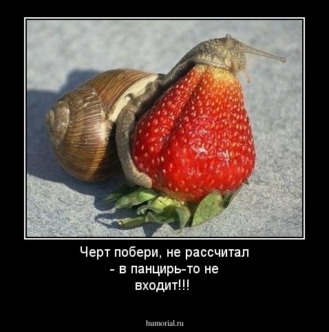 Черт побери, не рассчитал  - в панцирь-то не входит!!!