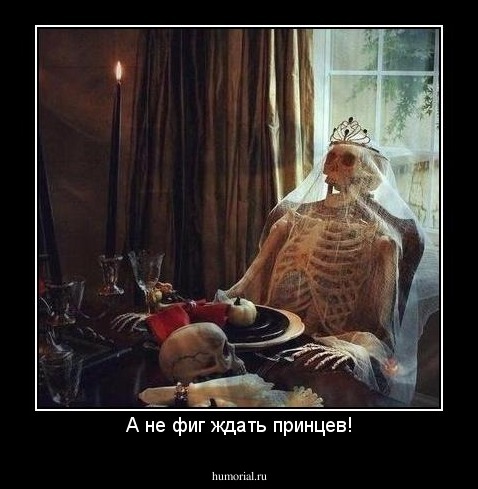 А не фиг ждать принцев!