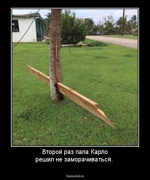 Второй раз папа Карло решил не заморачиваться.