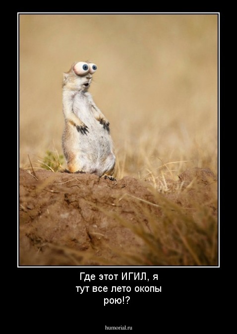 Где этот ИГИЛ, я тут все лето окопы рою!?
