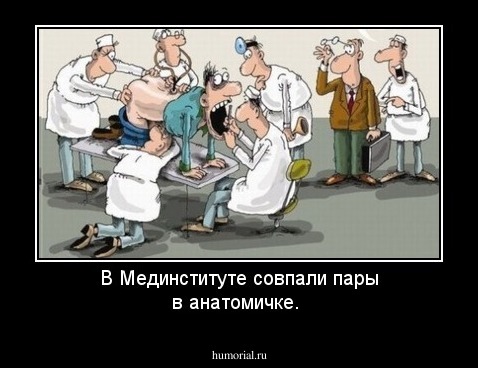 В Мединституте совпали пары в анатомичке.