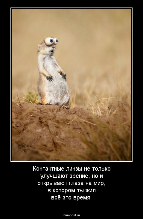 Контактные линзы не только улучшают зрение, но и открывают глаза на мир, в котором ты жил всё это время
