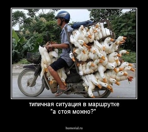 типичная ситуация в маршрутке "а стоя можно?"