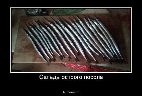 Сельдь острого посола