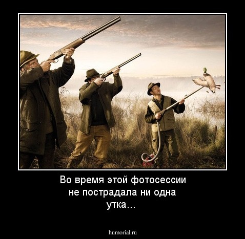 Во время этой фотосессии не пострадала ни одна утка...
