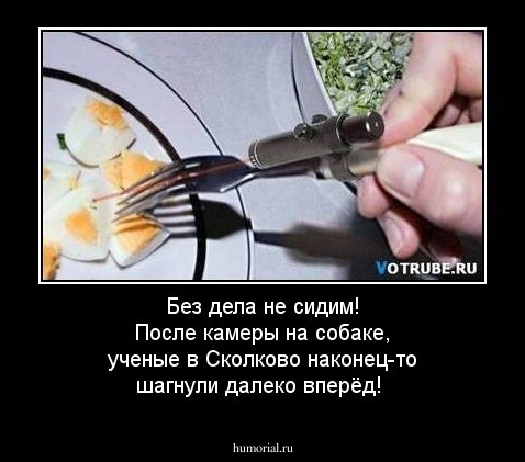 Без дела не сидим! После камеры на собаке, ученые в Сколково наконец-то шагнули далеко вперёд! 