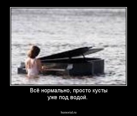 Всё нормально, просто кусты уже под водой. 